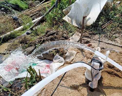 阜宁鱼塘边打井