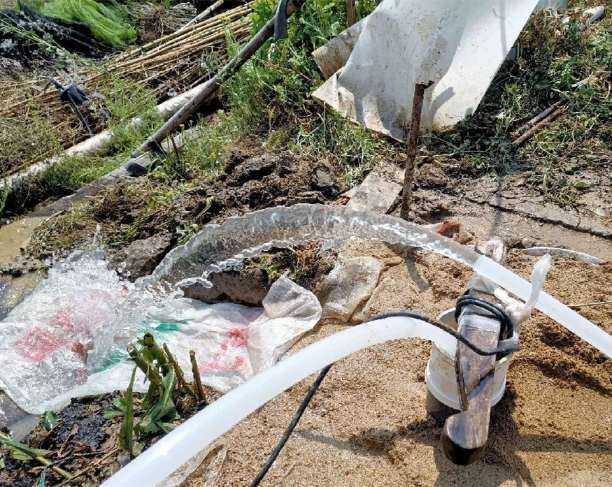 阜宁果园种树打井